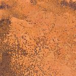 Mottled Copper